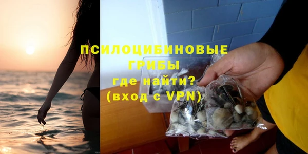 скорость Алзамай