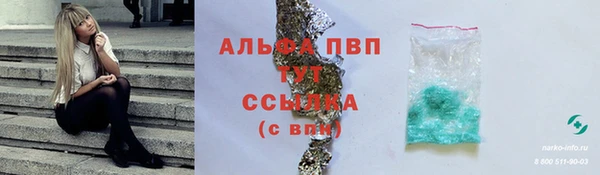 СК Пересвет