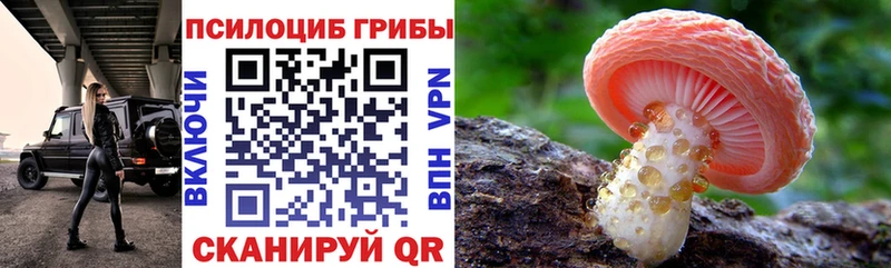 сколько стоит  Евпатория  Галлюциногенные грибы мицелий 