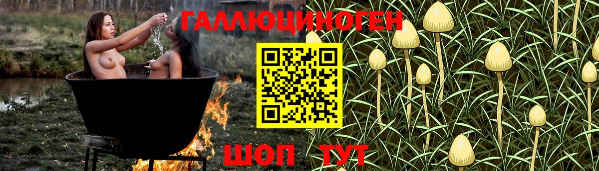 Псилоцибиновые грибы мухоморы Евпатория