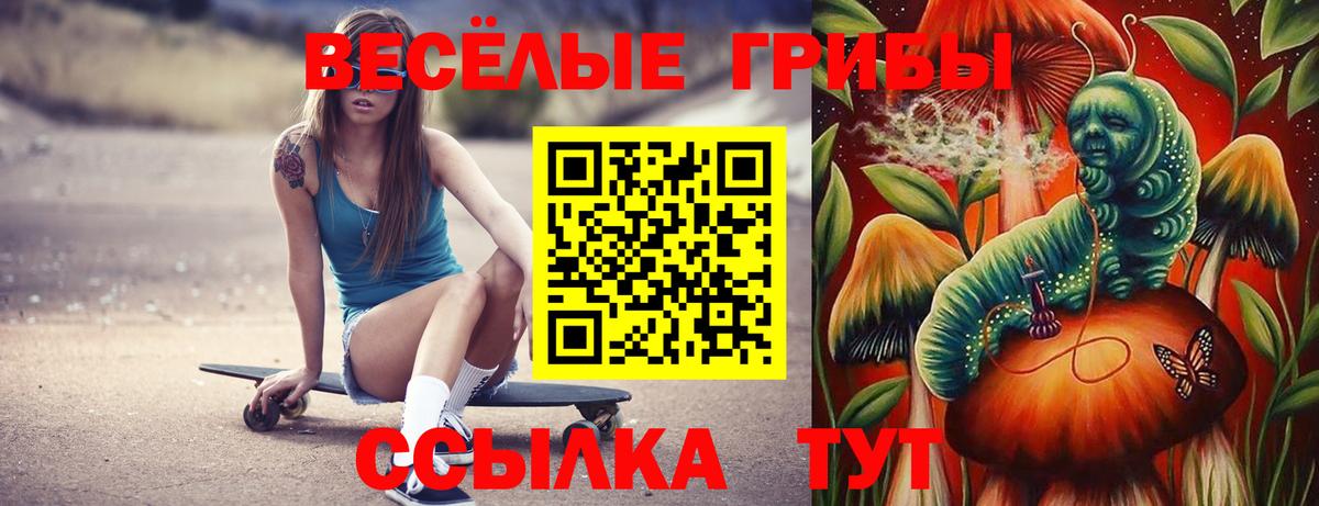 Евпатория  Псилоцибиновые грибы Cubensis  Вход с VPN  где можно купить   Галлюциногенные грибы GOLDEN TEACHER 